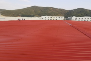 新型聚合物涂層大幅提升醫療器械抗菌能力
