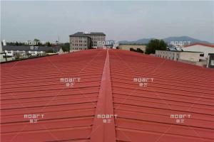 專業廠房彩鋼瓦除銹噴漆防腐工程承包