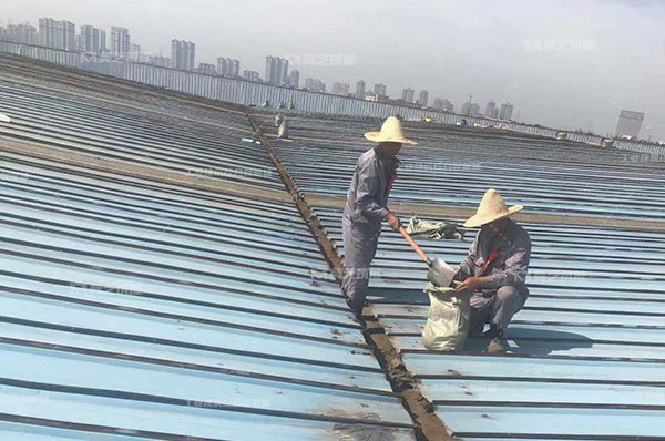 彩鋼瓦生銹了怎么辦，翻新需要打磨嗎？